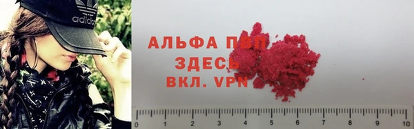 спиды Михайлов