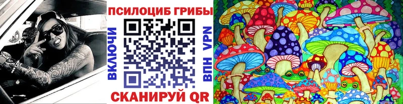 ОМГ ОМГ зеркало  Уссурийск  Псилоцибиновые грибы Cubensis 