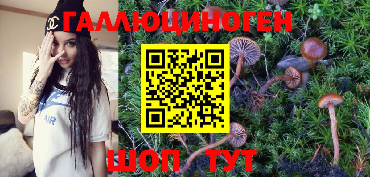 Галлюциногенные грибы Cubensis  Галлюциногенные грибы Magic Shrooms  Уссурийск 