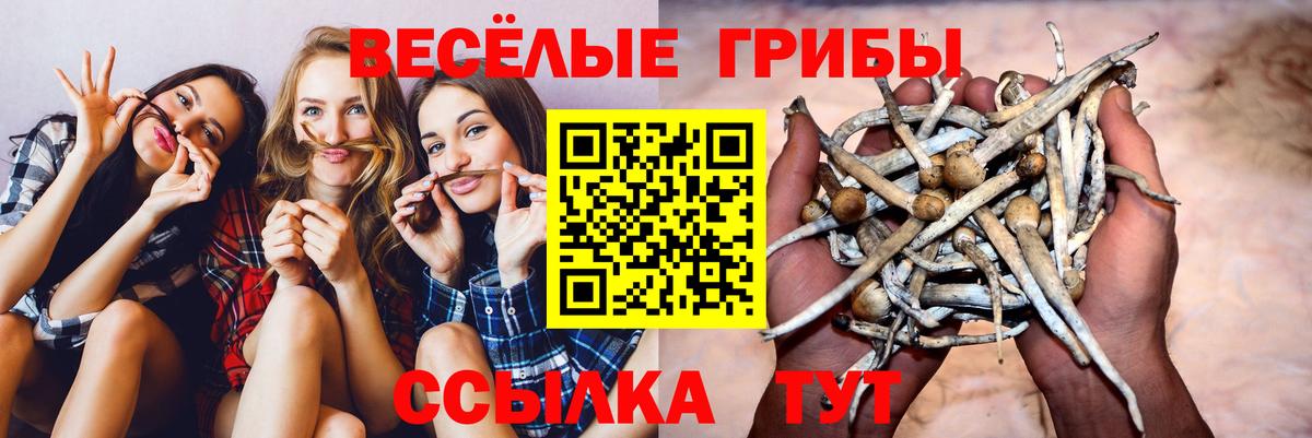 Галлюциногенные грибы Magic Shrooms  Вход с VPN  Уссурийск 